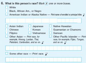New Race and Ethnicity Surveys Spark Concern