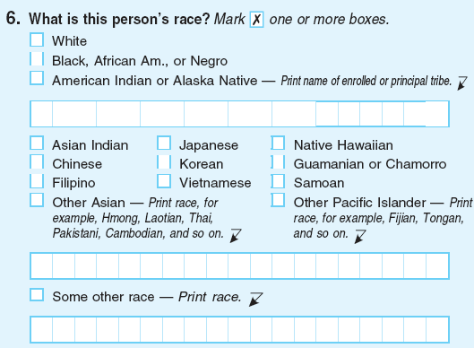 Defining race ethnicity essay