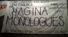 Vagina Monologues