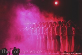 Photo by Savitri Arvey