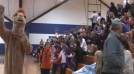 Finding Our Camel Pride