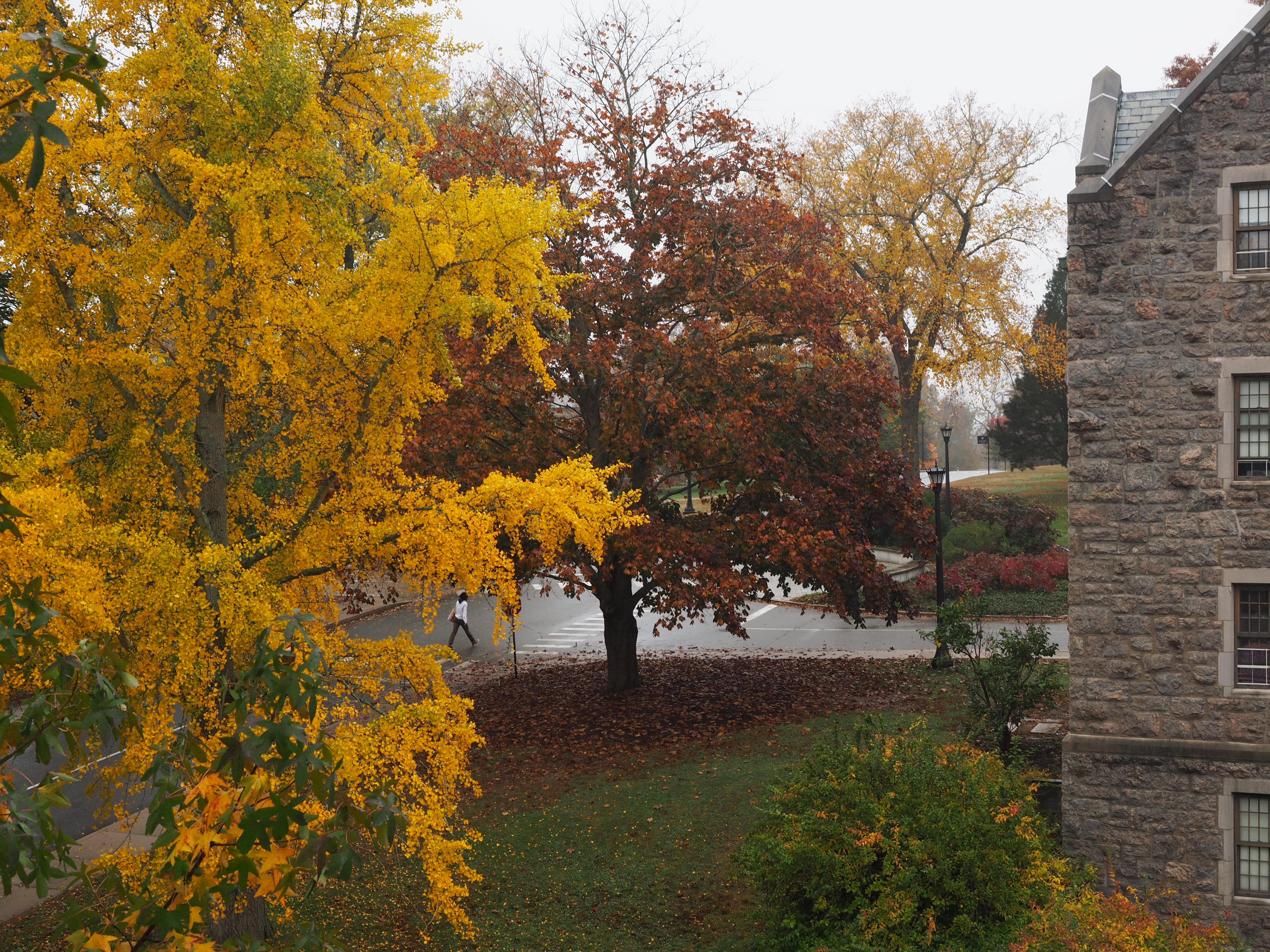 The NotSoLittle Ivies The College Voice