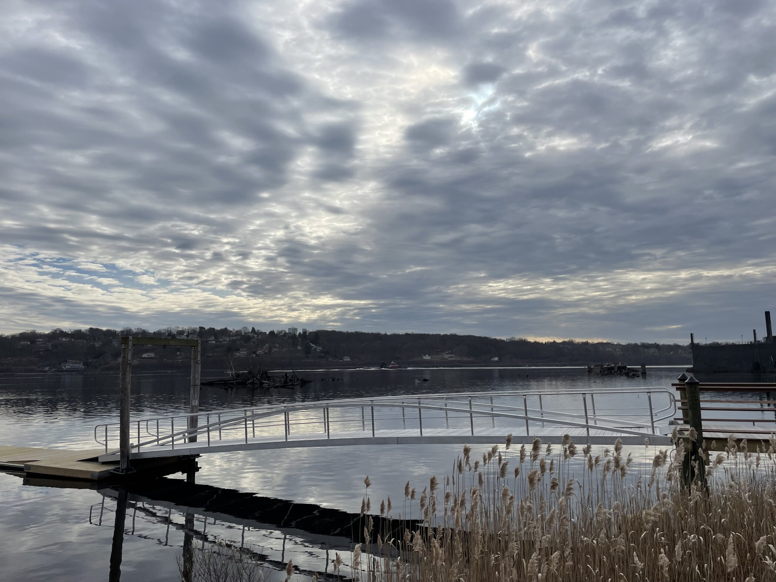 Should Conn Students Be Worried About the Deadly Bacteria in the Long